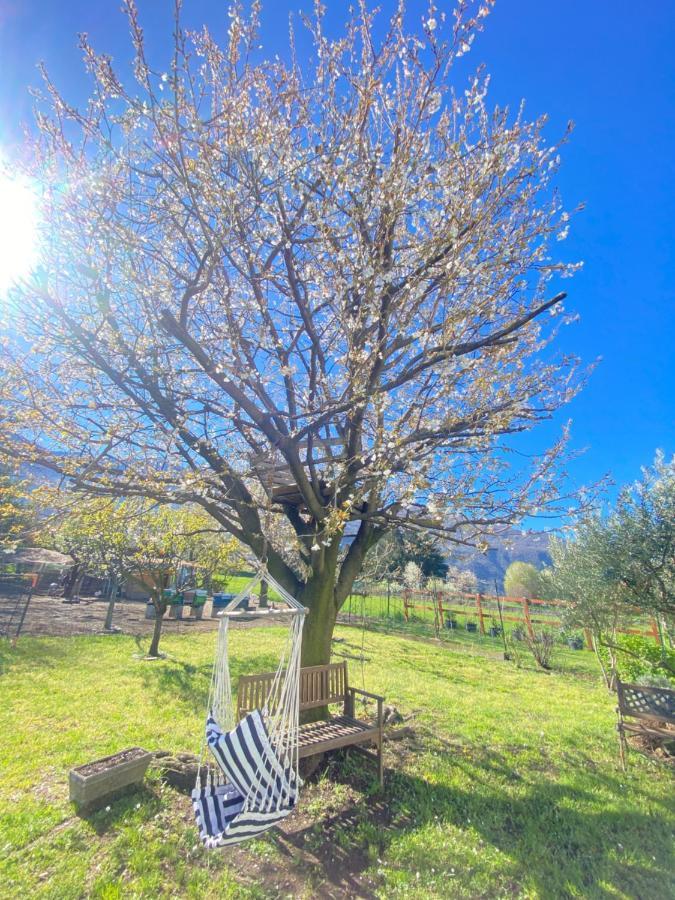 Il Giardino Dei Ciliegi Apartman Colico Kültér fotó