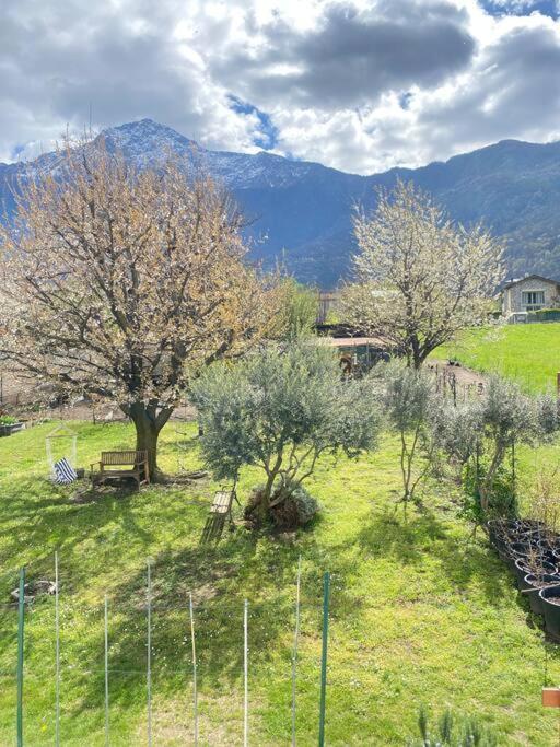 Il Giardino Dei Ciliegi Apartman Colico Kültér fotó