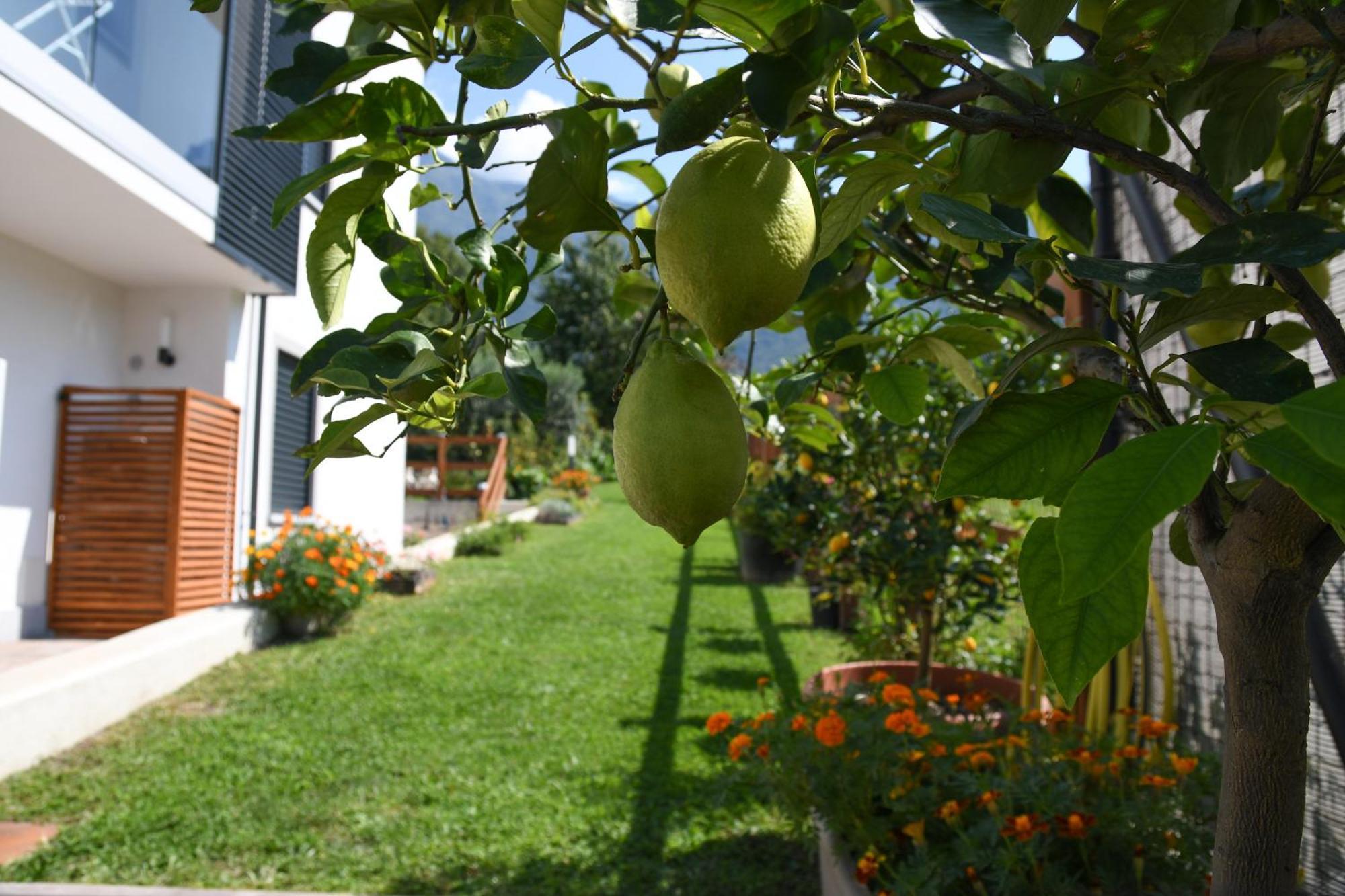 Il Giardino Dei Ciliegi Apartman Colico Kültér fotó