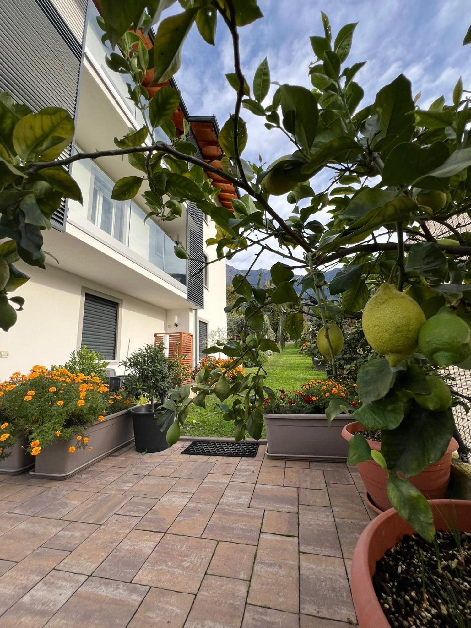 Il Giardino Dei Ciliegi Apartman Colico Kültér fotó